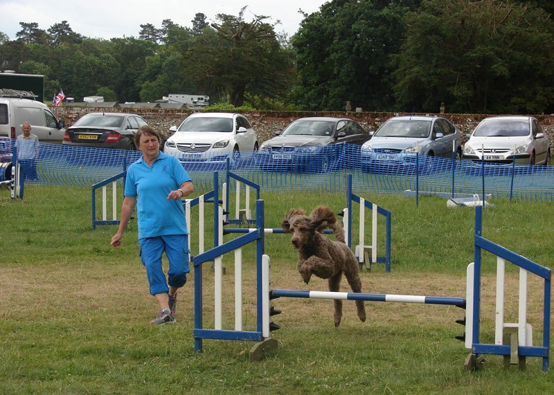 Photo of Anne running along side her dog Hattie (Poodle) as Hattie clears a jump