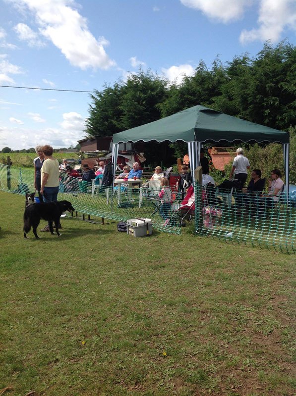 Photo of club members enjoying a club fun day and barbeque